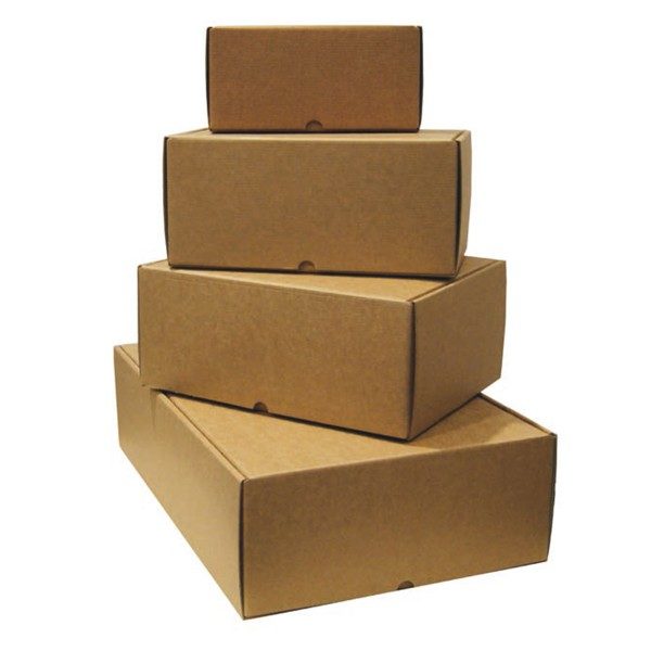 Cajas automontables para envío 230x160x120